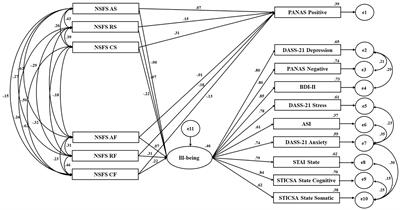 Validation of the Measurement of Need Frustration